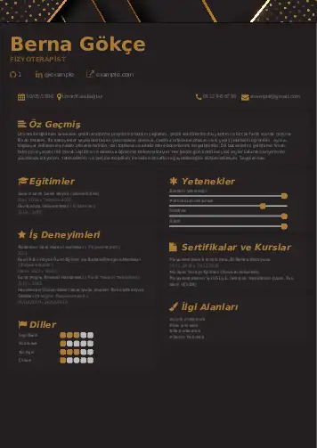 Fizyoterapist Cv Örnekleri cv indir